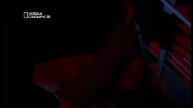 Кадры из тв-шоу Расследования авиакатастроф (2003)